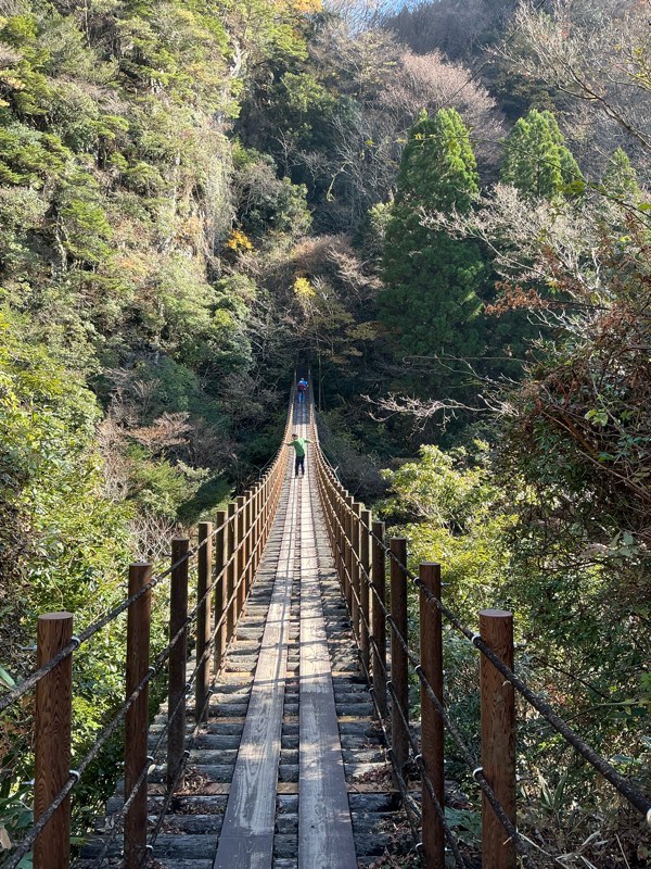 落ち葉も枯れてしまっている…