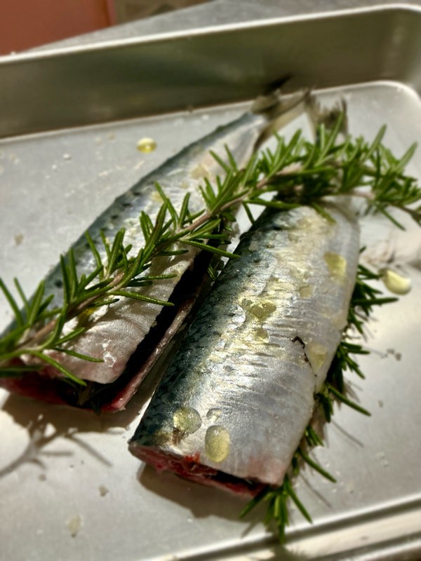 4尾買えば良かった