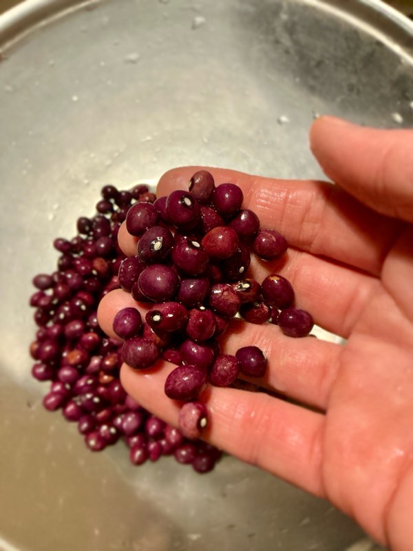 絶対、小豆では無い。